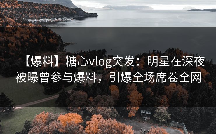 【爆料】糖心vlog突发：明星在深夜被曝曾参与爆料，引爆全场席卷全网  第1张