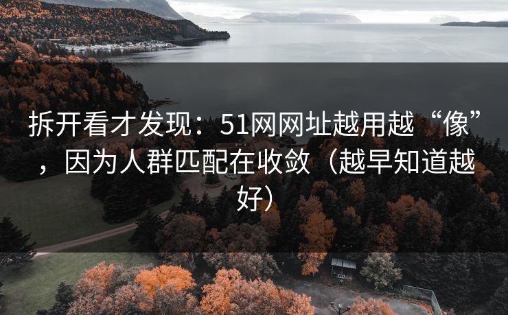 拆开看才发现：51网网址越用越“像”，因为人群匹配在收敛（越早知道越好）  第1张