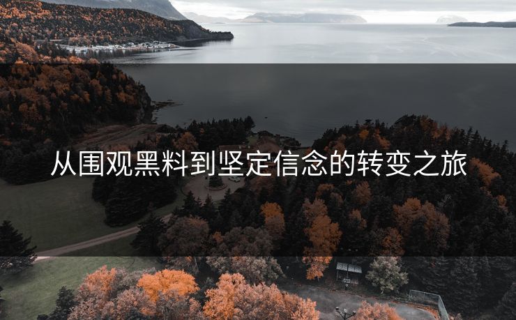 从围观黑料到坚定信念的转变之旅