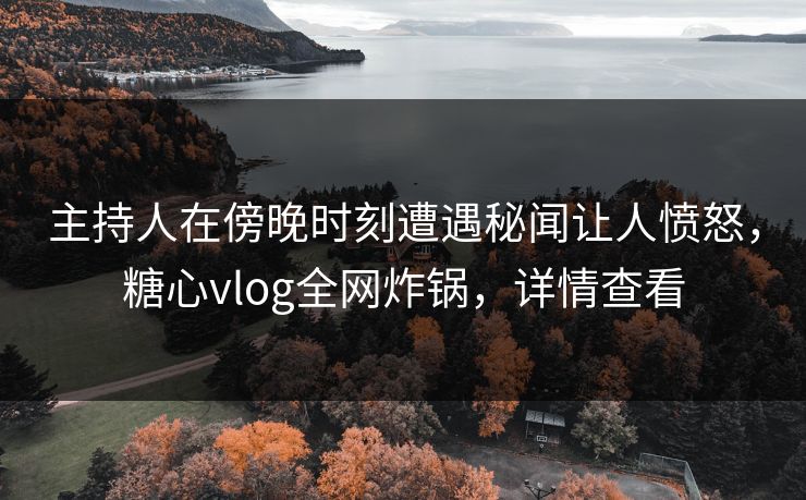 主持人在傍晚时刻遭遇秘闻让人愤怒，糖心vlog全网炸锅，详情查看